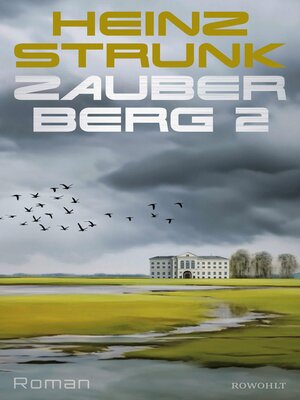 cover image of Zauberberg 2